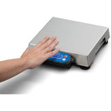 brecknell 6710U pos weight scale