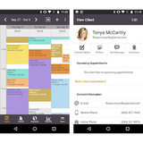 iris beauty salon pos software